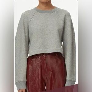 Tibi grey cropped open back sweatshirt